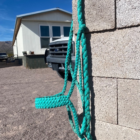 Horse/livestock halters, dog leashes- collars, headstall,and more. .. - Picture 5 of 12